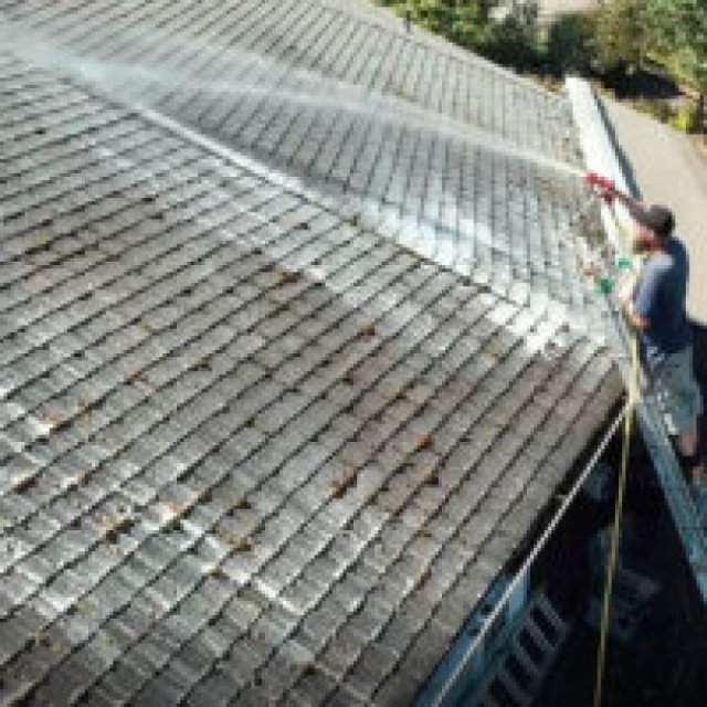 Donnie's Roof Cleaning & Pressure Washing