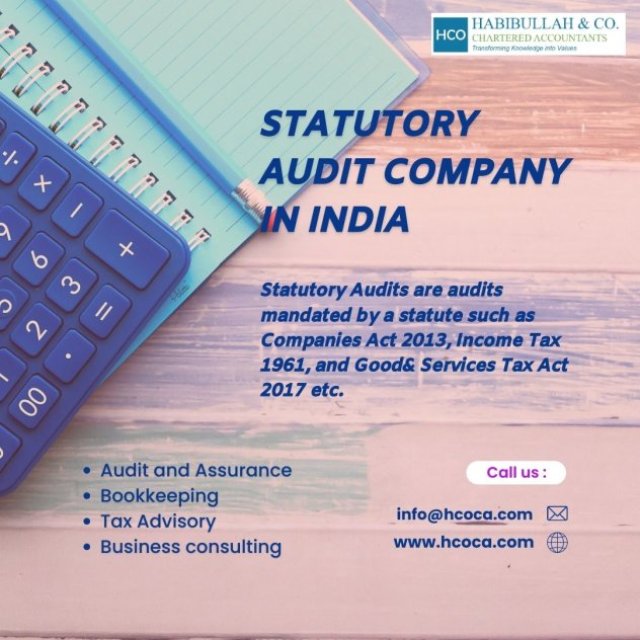 Premier Statutory Audit Company in India | Habibullah & Co.
