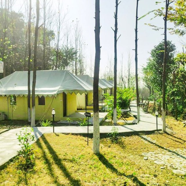 Budget Resorts in Dharamshala