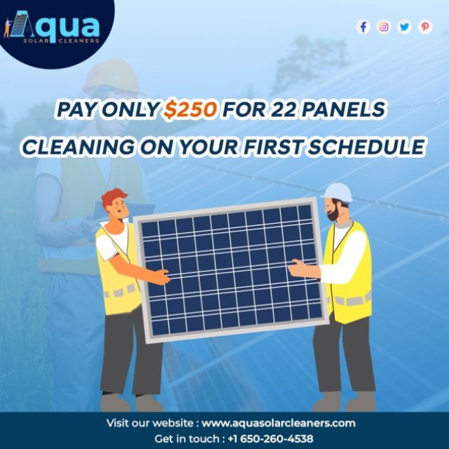 Offer: First 22 Solar Panel Cleaning Cost at flat $250