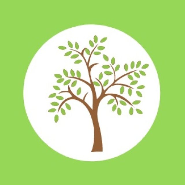 Treecology Arboriculture