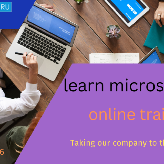 online micro strategy training