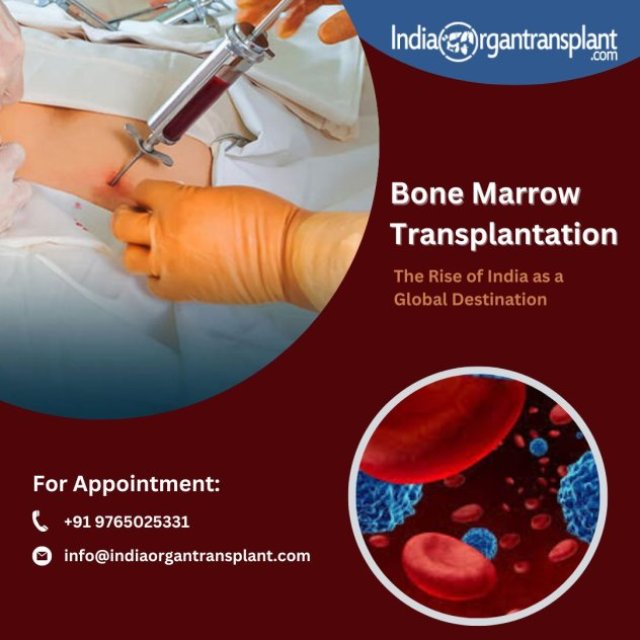 Bone Marrow Transplant In India