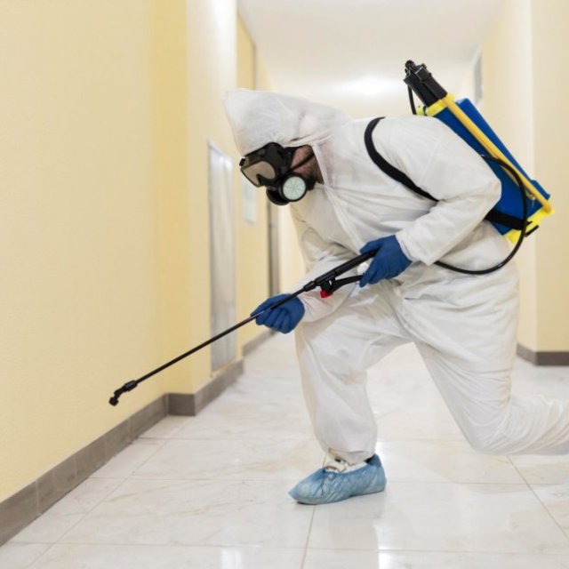 Mckleenz Pest Control Services In Dubai