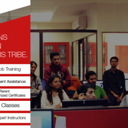 Winners Tribe Digital Marketing Courses in Delhi