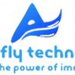 Digital marketing company in delhi - Avemfly Technology