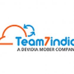 Team7india
