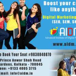 Advanced Institute of Digital marketing