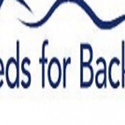 Beds For Backs - Childrens Mattress Melbourne