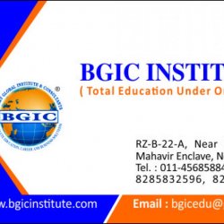 BGIC INSTITUTE in MAHAVIR ENCLAVE