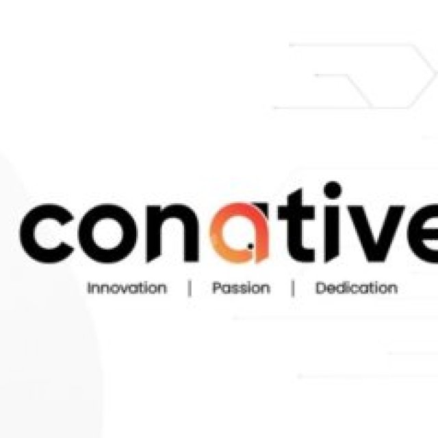 Conative IT Solutions Pvt. Ltd