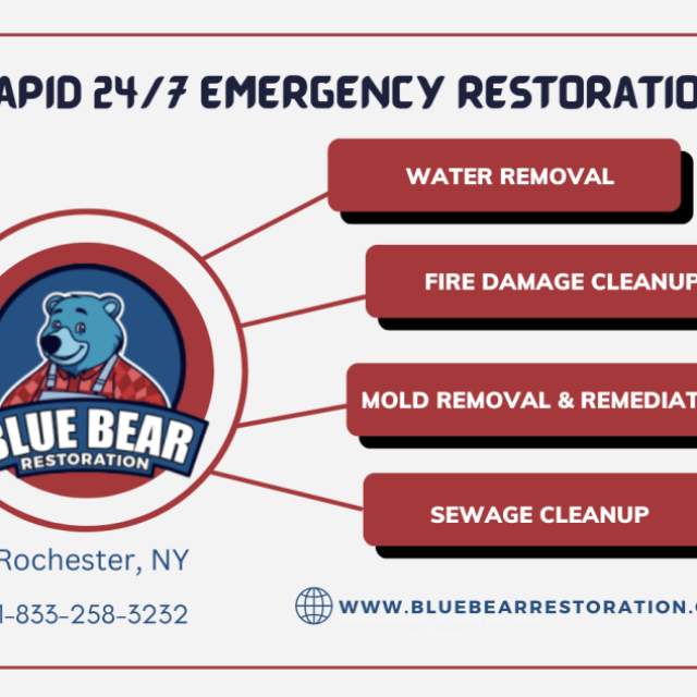 Blue Bear Restoration