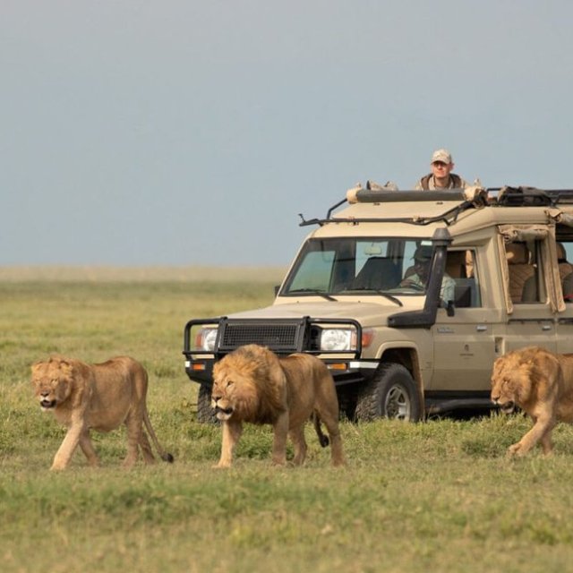 African Delight Safaris