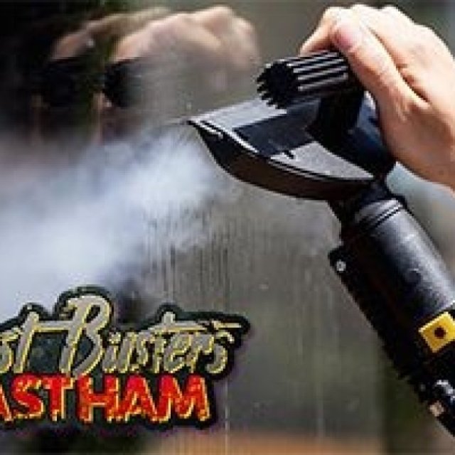 Dust Busters East Ham