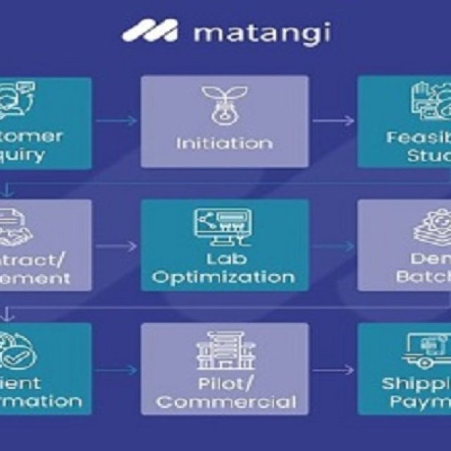 Dyes And Intermediates | Matangi Industries