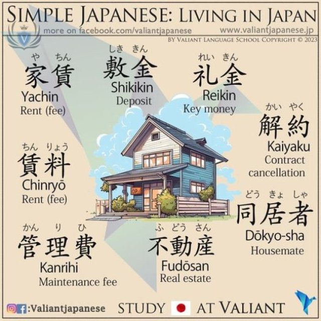 Start a Language Journey: Beginner Japanese Lessons at Tokyo's Online Language School