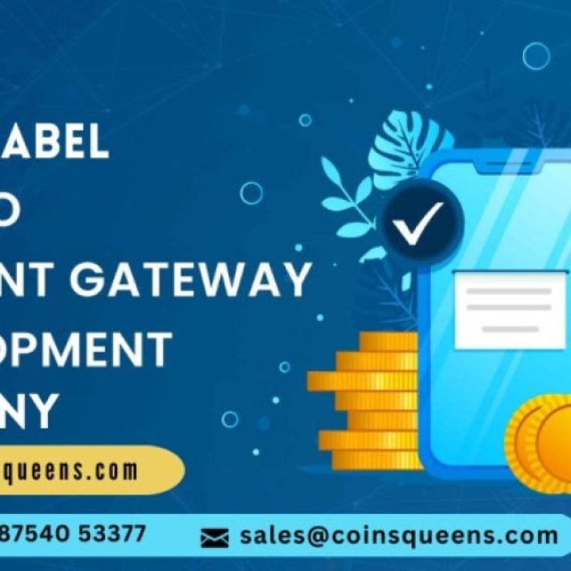 White Label Cryptocurrency Payment Gateway Development Company - CoinsQueens
