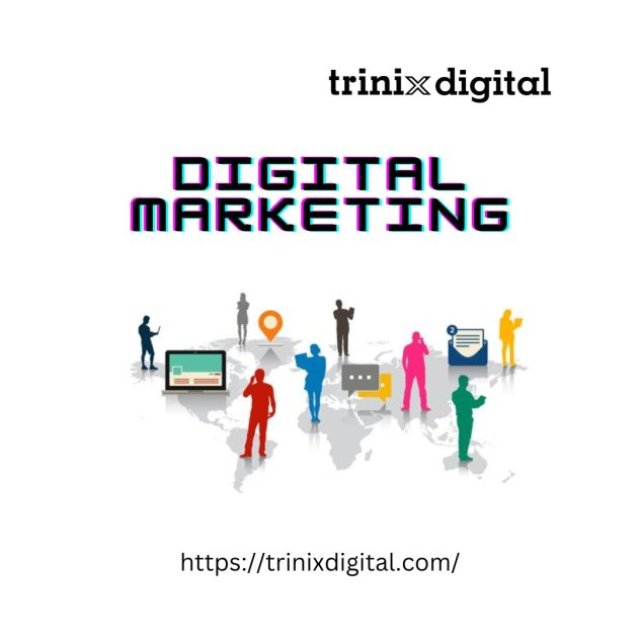 Best Digital Marketing in Calicut | Trinix Digital