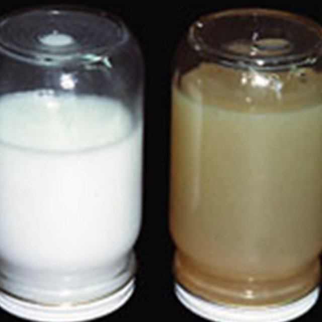 Professional Cationic Wax Emulsion Manufacturing & Supplier Services - 20 Microns Nano Minerals Limited