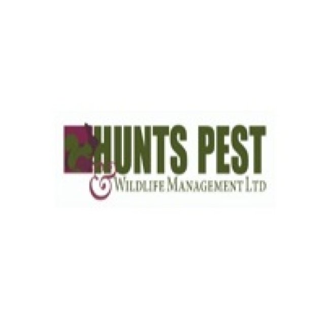 HuntsPest