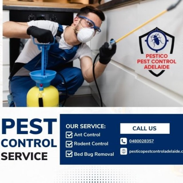 Pestico Pest Control Adelaide