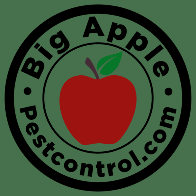 Big Apple Pest Control