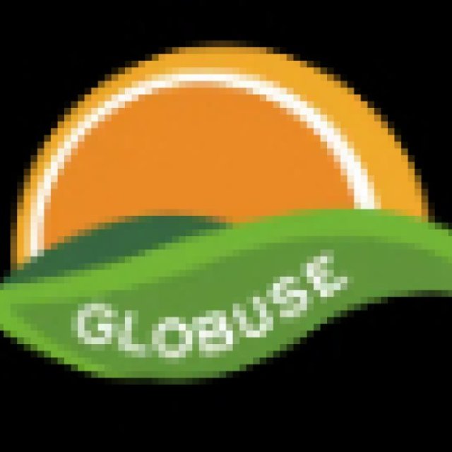 GlobuseRealtors