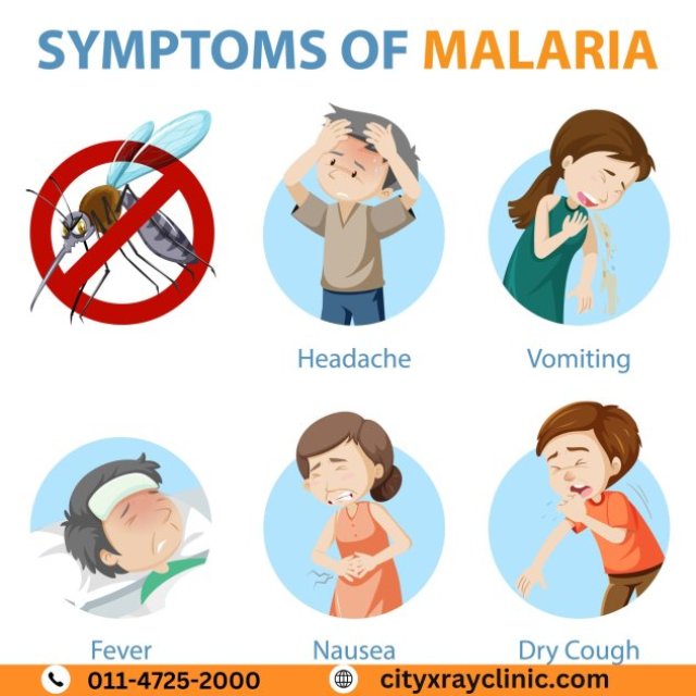 Discover the Warning Signs of Malaria Fever