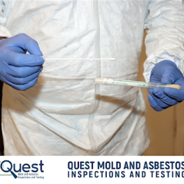 Quest Mold and Asbestos Inspections and Testing of Brooklyn