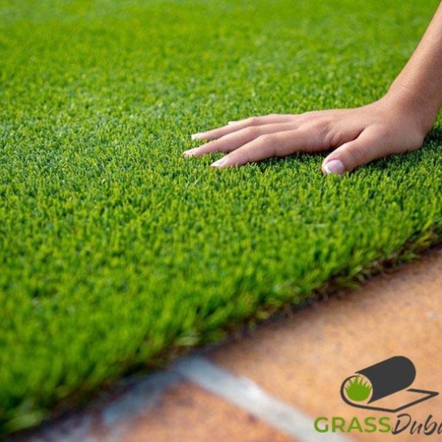 Grass Dubai