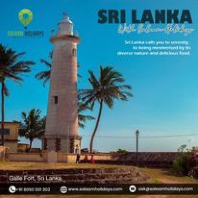 Sri Lanka Tour Packages | Sri Lanka Travel | Salaam Holidays