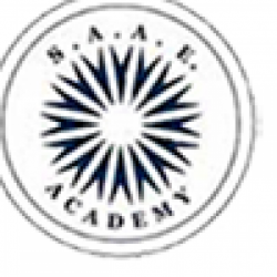 SAAE Academy- CAT, CLAT, Bank PO, SSC coaching in Gurgaon.