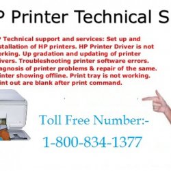 How to Troubleshoot Paper Jam Issues of HP Printer