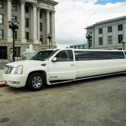 Divine Limousine