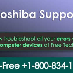Multiple Solutions for Toshiba Products at Affordable Rates