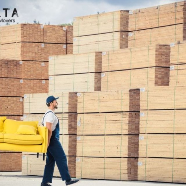 Choose Sparta Packers, Your Trusted Dwarka Relocation Partner