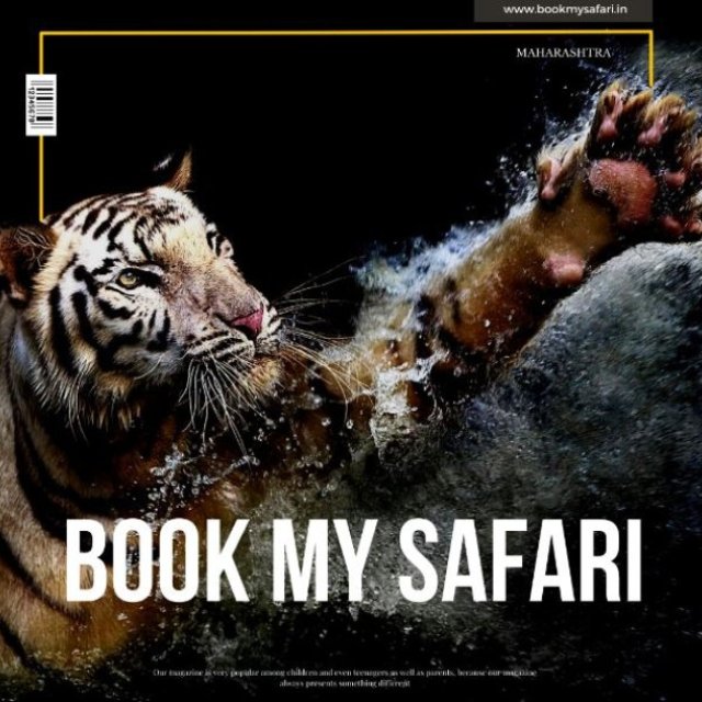 BOOK MY SAFARI - Experience the thrill of the wild