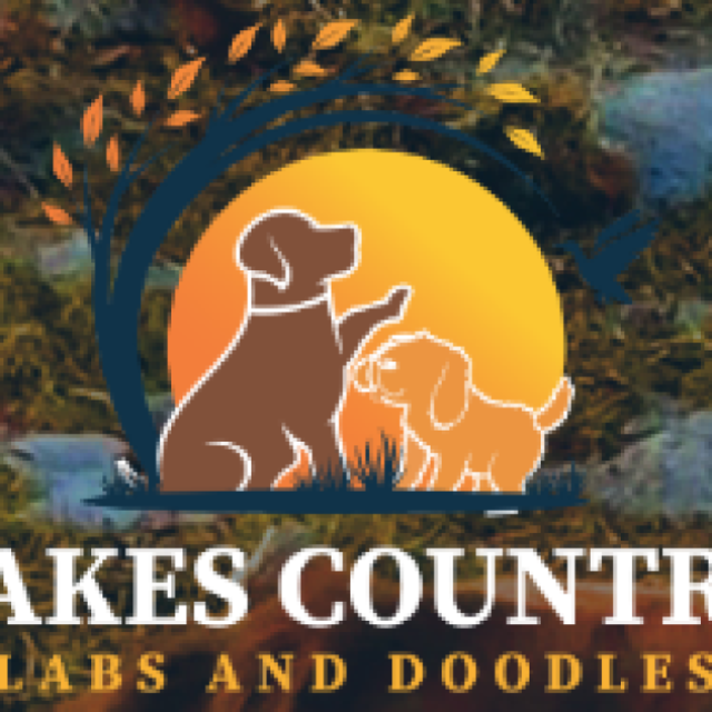 LAKES COUNTRY LABS AND DOODLES