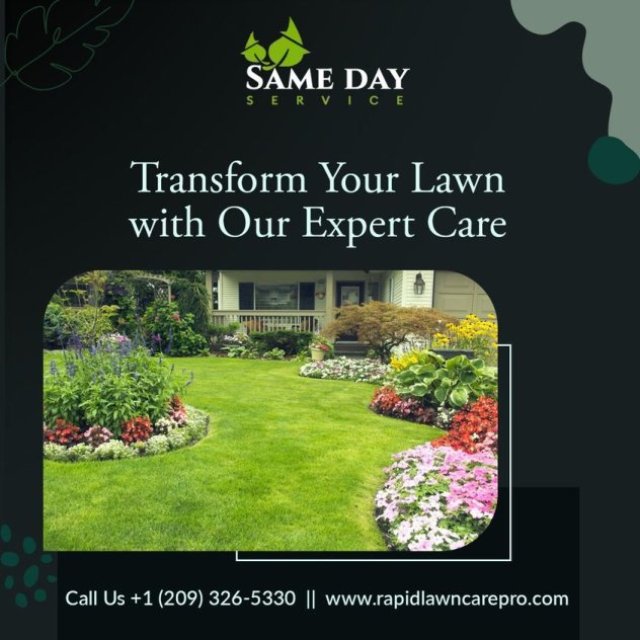 Professional & Affordable Lawn and Tree Care Services - Same Day Service