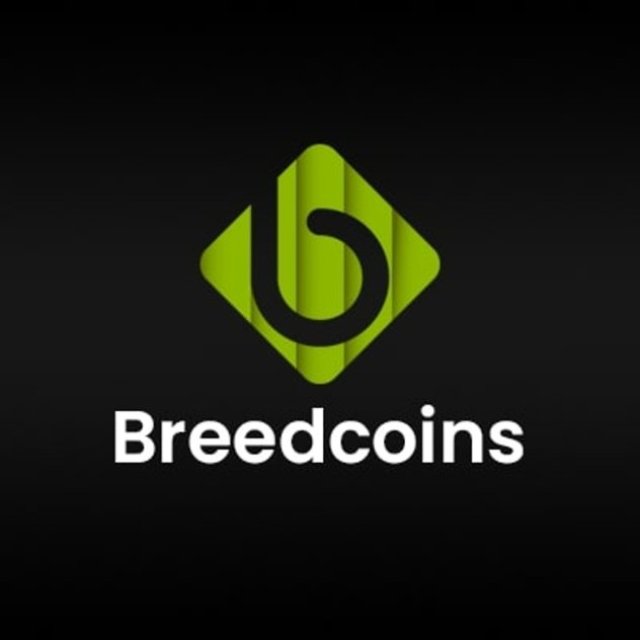 Breedcoins - NFT Marketplace Development Company