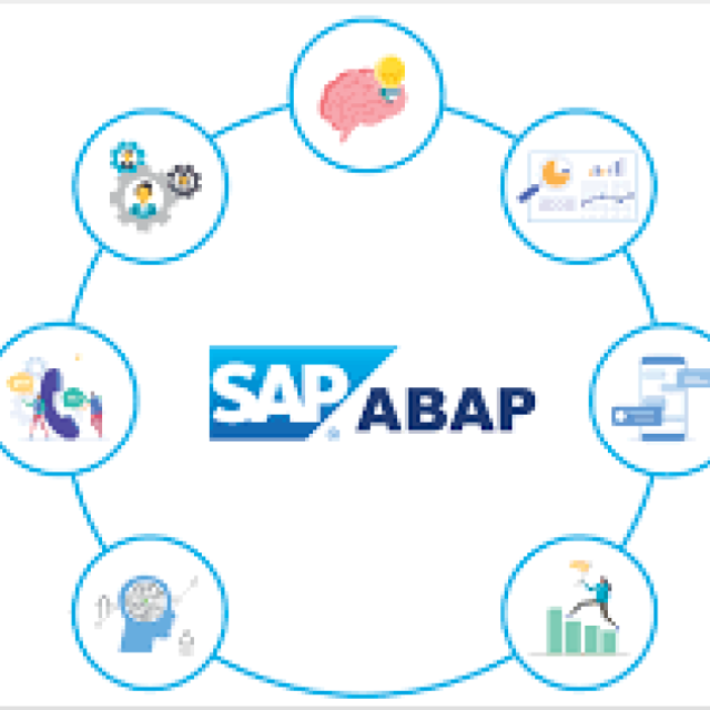 SAP ABAP Solutions - Pattem Digital