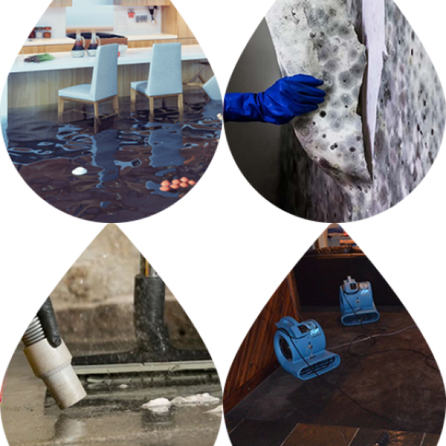 Wet Carpet Cleaning Sydney - Flood Services Australia