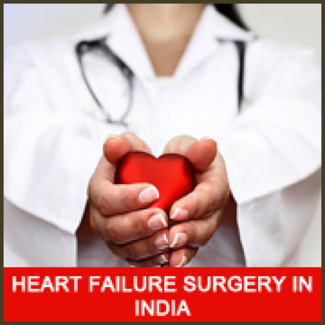 India's Best Valve Replacement Surgeons