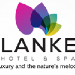 Blanket Hotel & Spa - Budget Hotels in Munnar