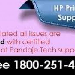 Certified Technicians are available for HP printer Issues