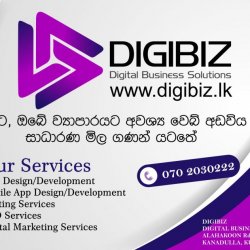 DigiBiz Webdesign kuliyapitiya Srilanka