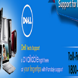 Online Dell Printer Set Up Is Very Affordable At 1-800-251-4919