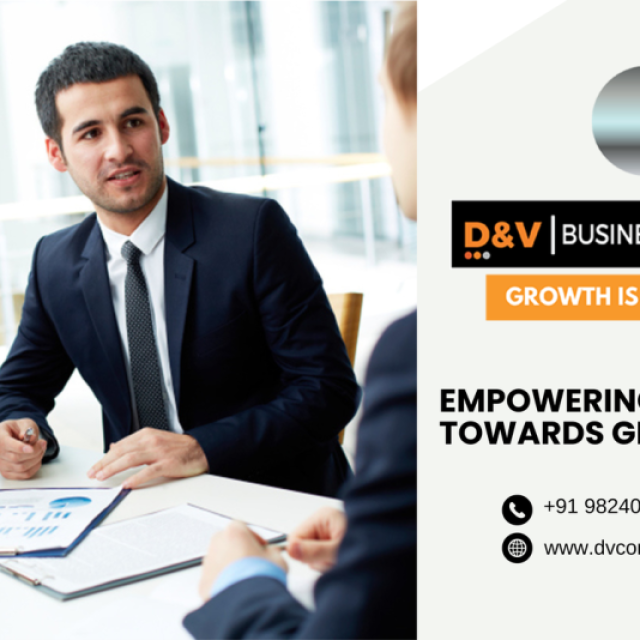D&V Business Consulting