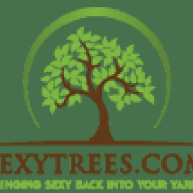 Sexy Trees