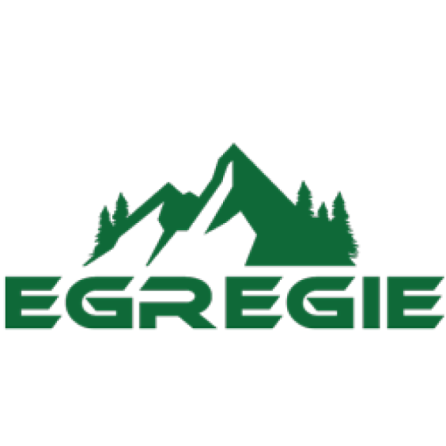 Egregie LLC